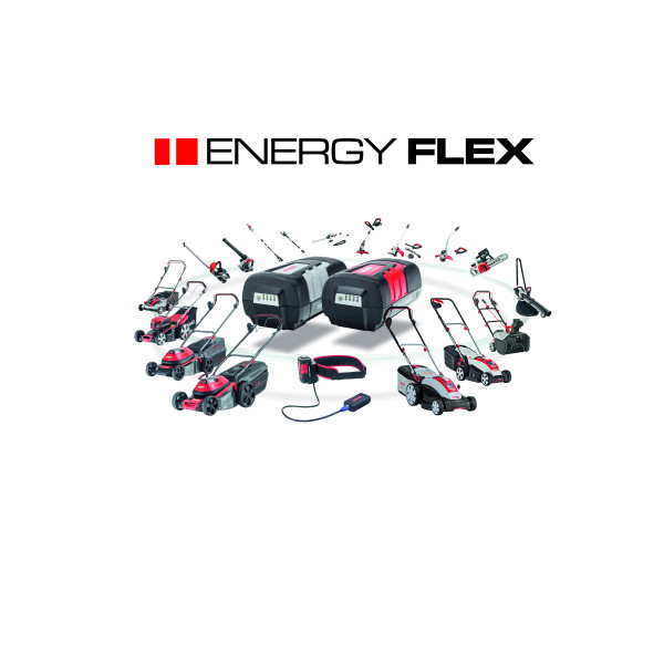 Зарядний пристрій для акумулятора Li-Ion 36 V Energy Flex